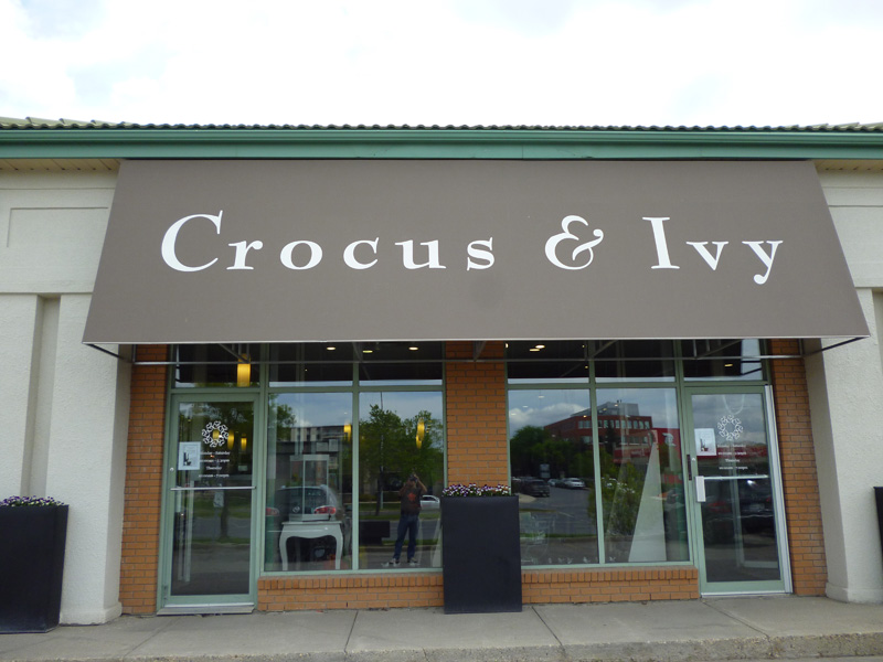 Crocus & Ivy